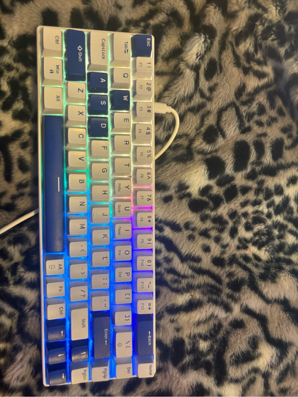 White & Blue Compact Mechanical Keyboard with RGB Backlight - Home Office